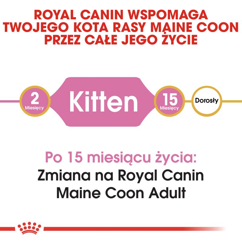 Royal Canin FBN Maine Coon 1